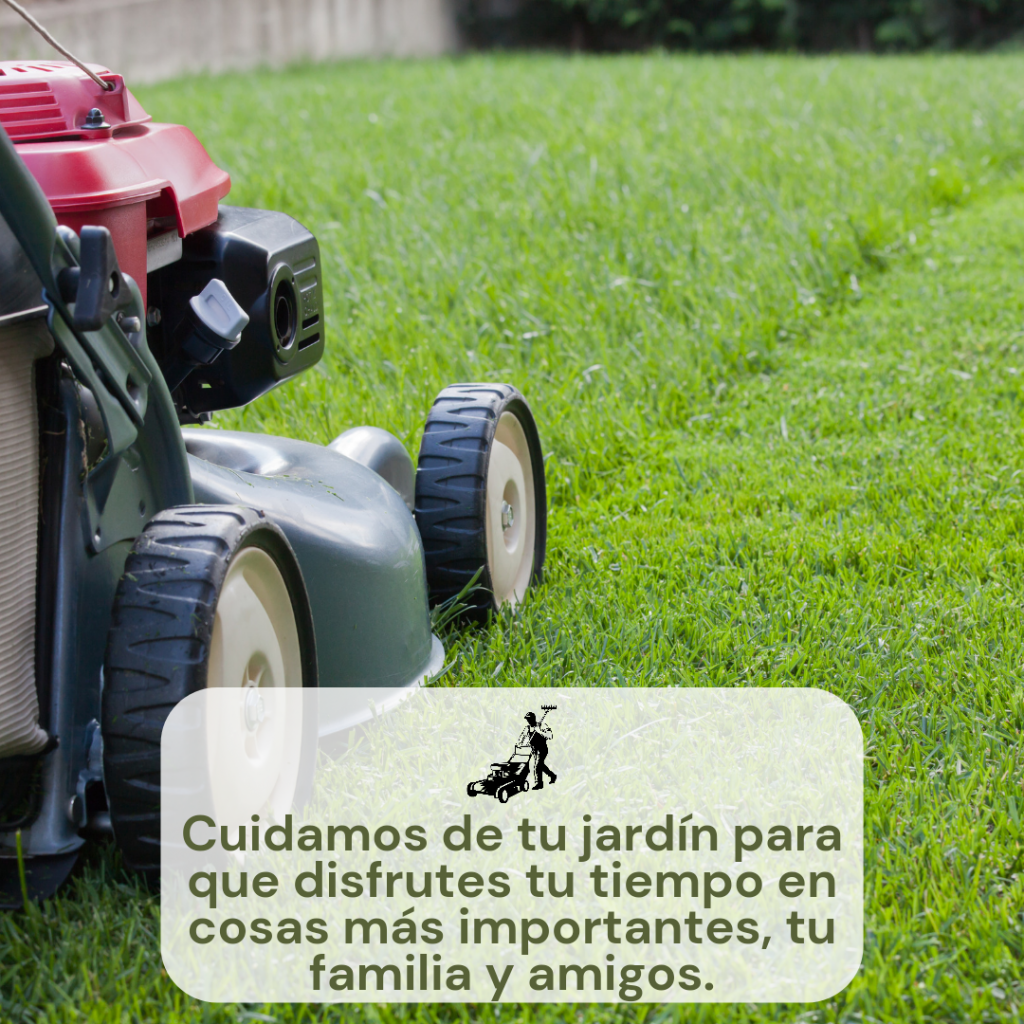 MANTENIMIENTO