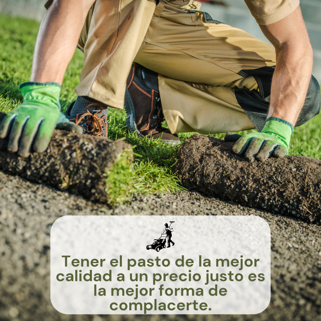 INSTALACIÓN DE PASTO