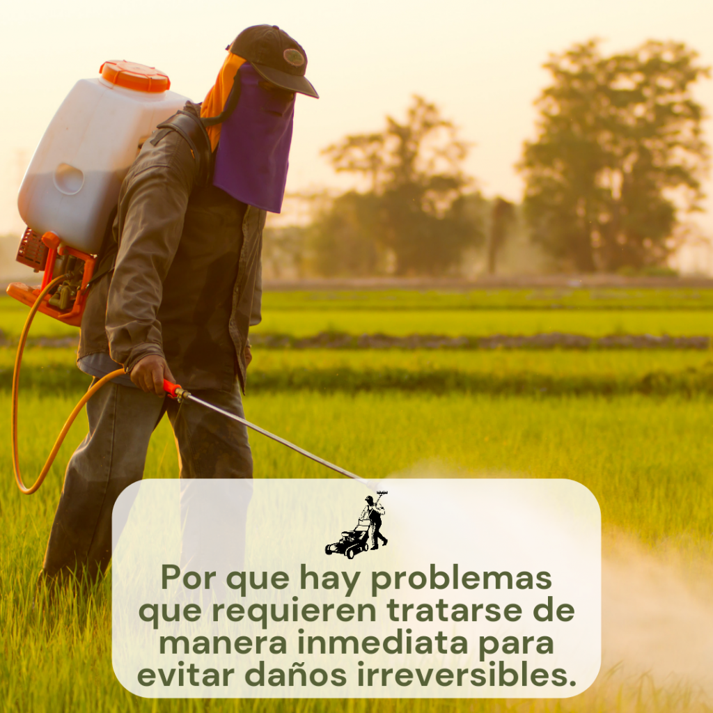 FUMIGACIÓN